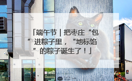 端午节｜把枣庄“包”进粽子里，“地标馅”的粽子诞生了！